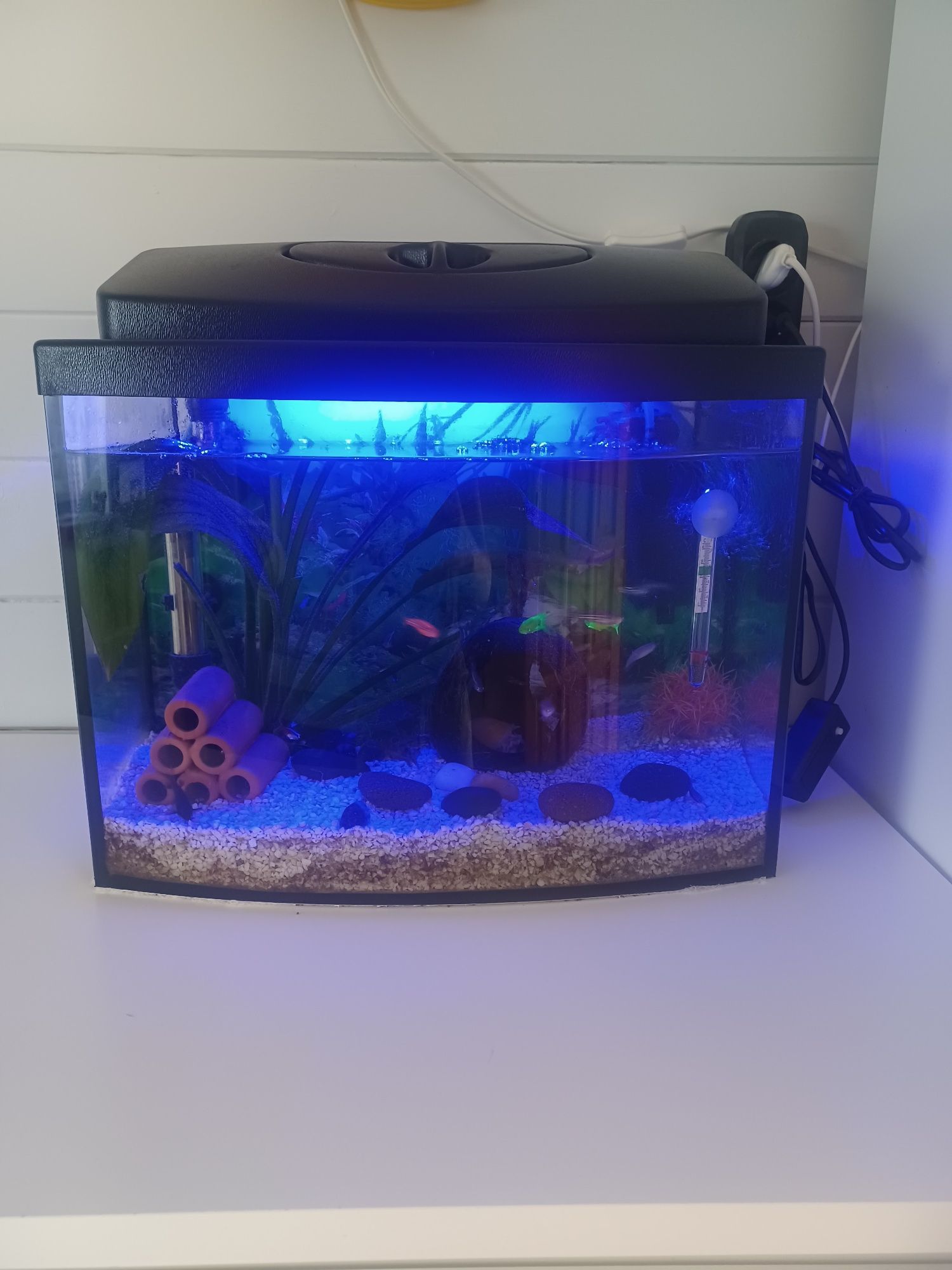 Akwarium 30 l kupione 3mce temu