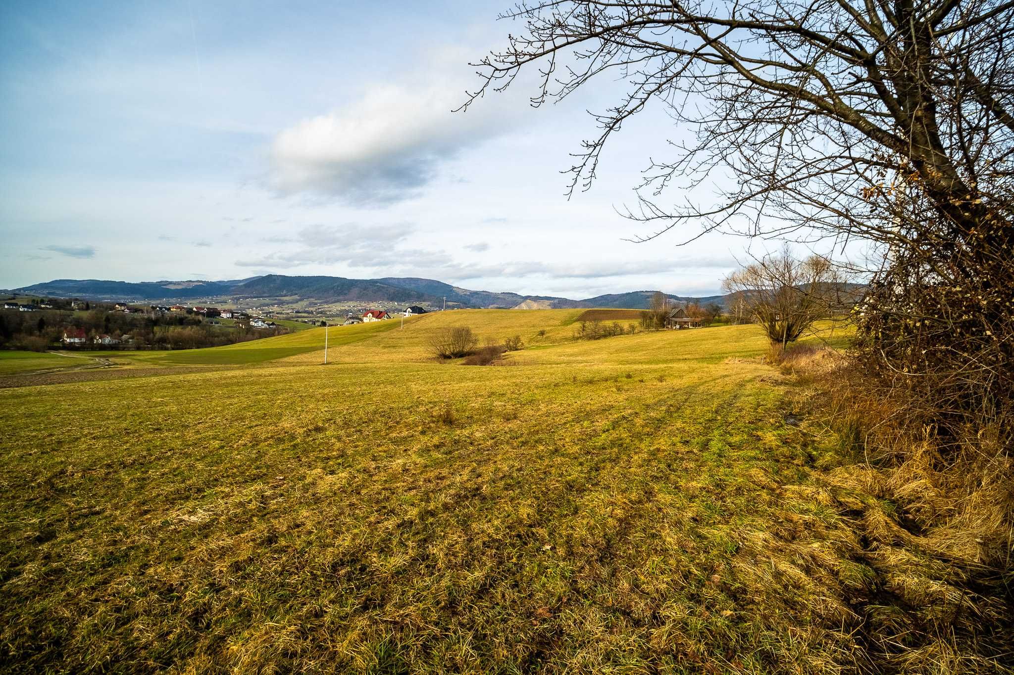 pod inwestycje 1,54 ha, z WZ na 13 domów, podzielona