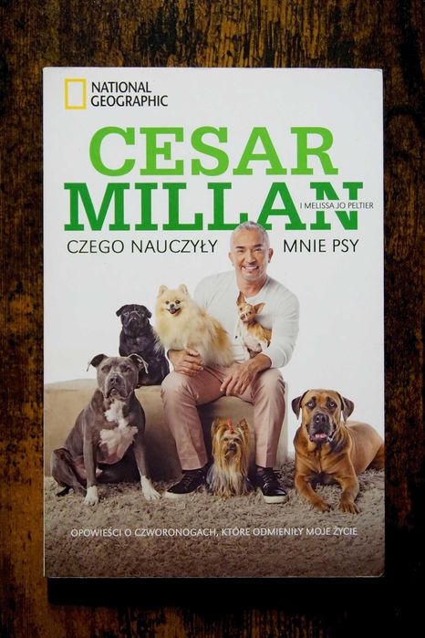 Czego nauczyły mnie psy Cesar Millan