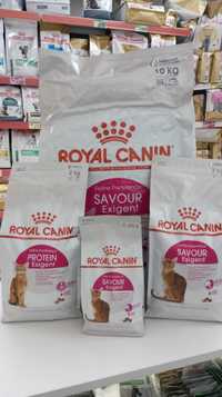 Royal Canin Exigent Savour