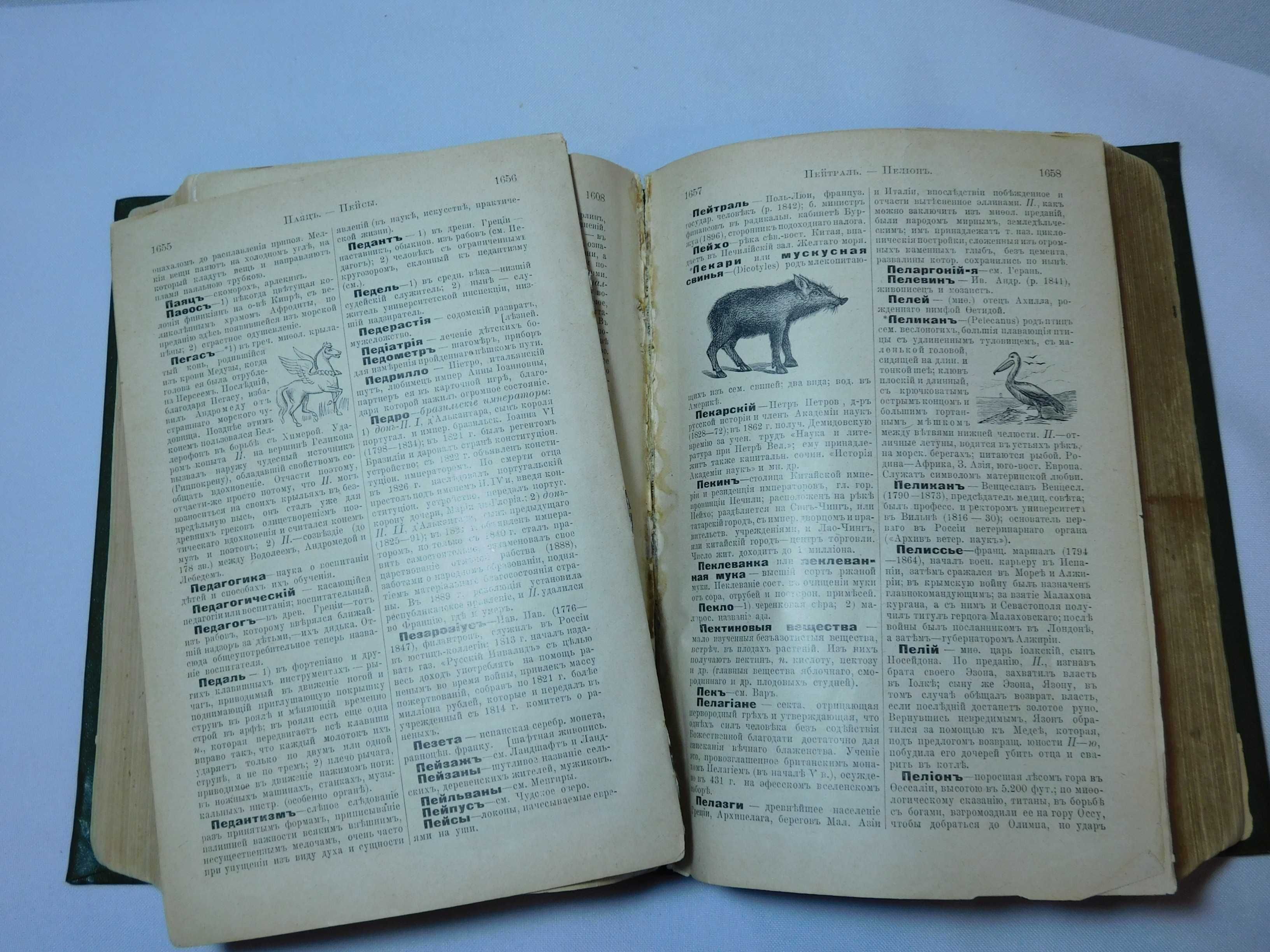 Павленков. Енциклопедичний словник. СПб 1899