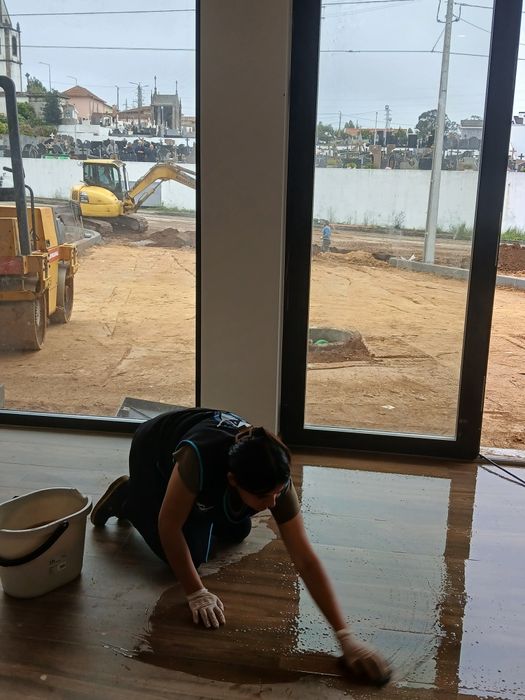 Limpezas profissionais