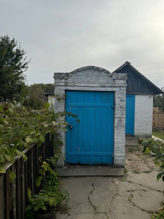 Будинок з великою ділянкою землі