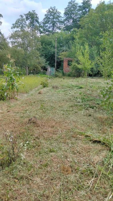 Ділянка в дачному масиві "Хриплин"