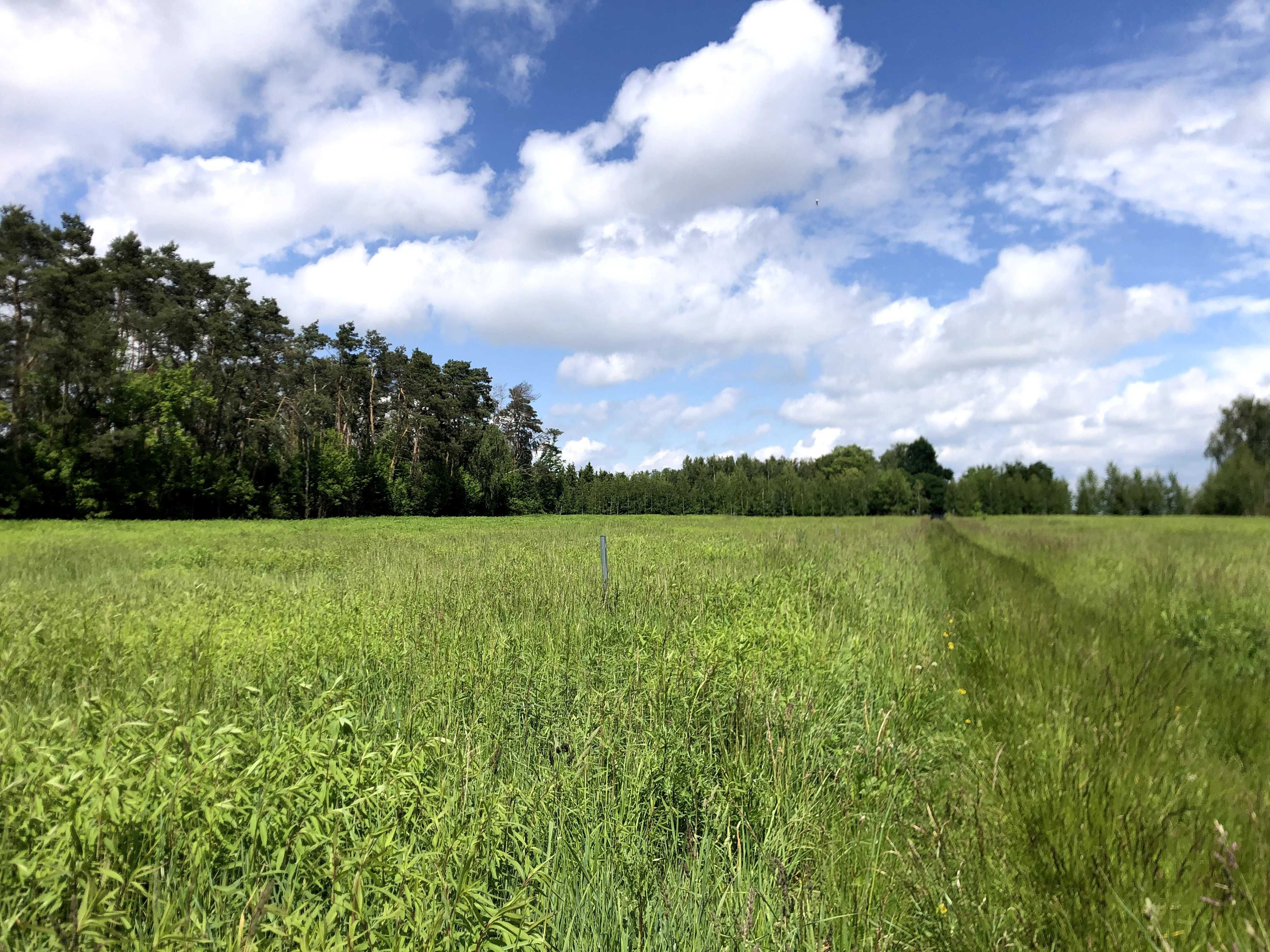 Działka budowlana + las, natura i spokój w pakiecie 50 km od Warszawy