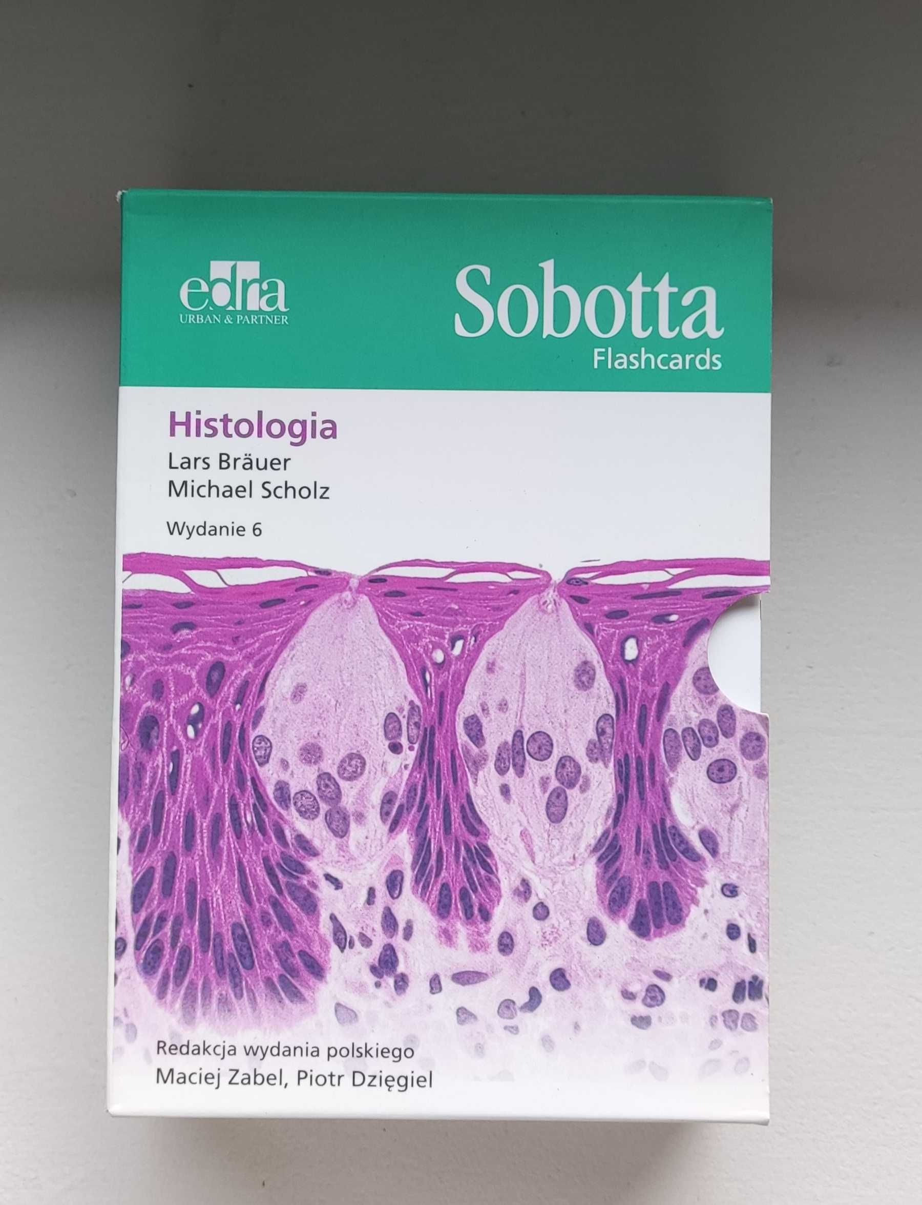 Fiszki histologia Sobotta flashcards