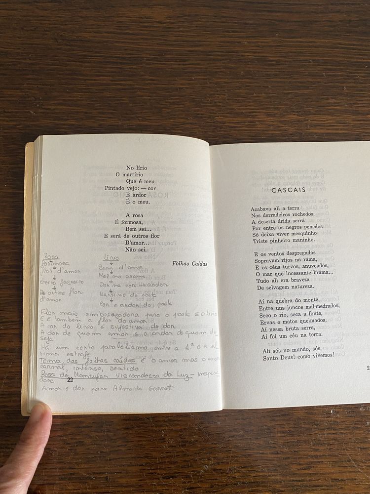 Poetas séc. XIX, Almeida Garrett, Antero Quental e Cesário Verde