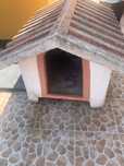 Casota de cão por 50€