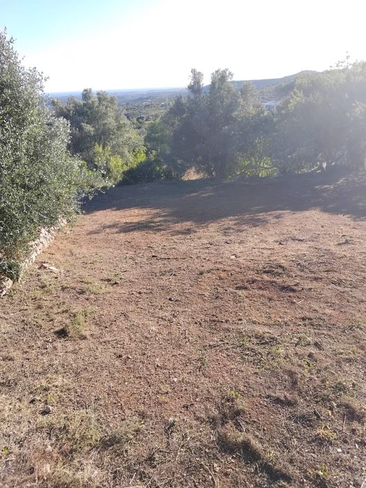Limpezas e desmatação de terrenos