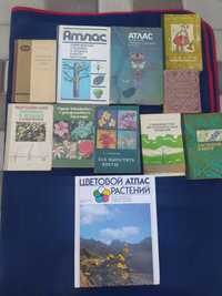 Садоводство саженцы цветы сорта культуры атлас справочник