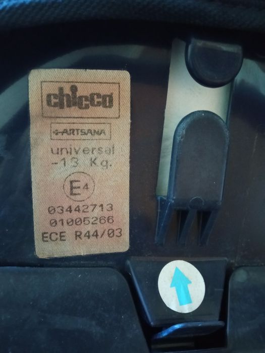 Ovo       auto.     Chico