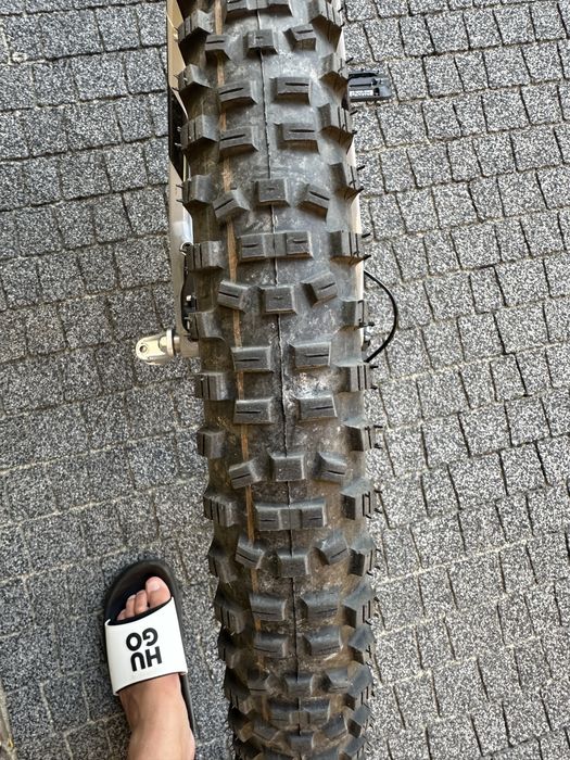 Raymon trailRay 10.0