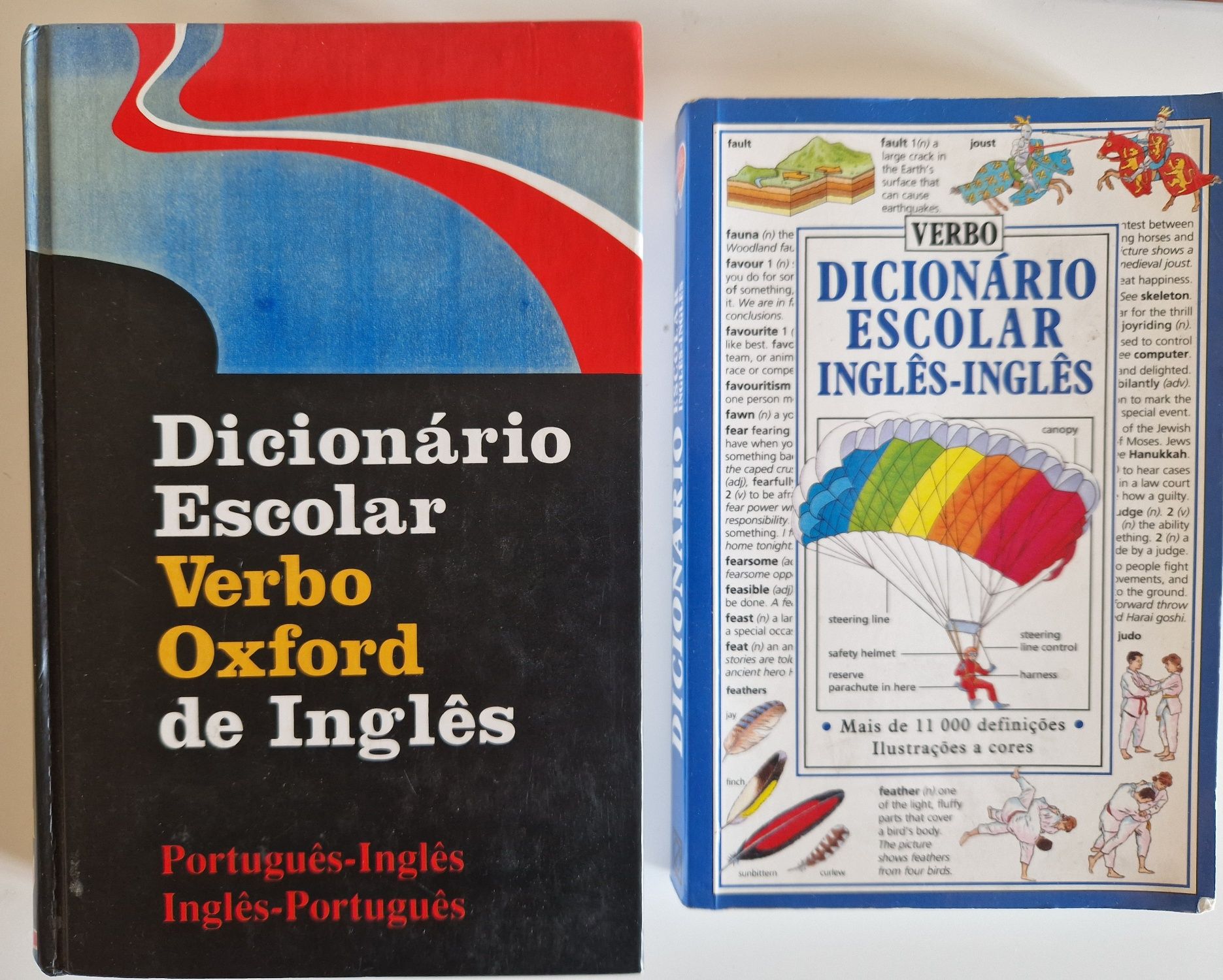 Lote Diversos Dicionários / Prontuários Antigos