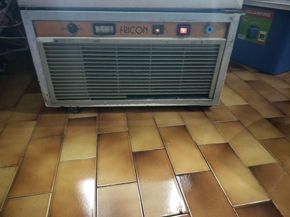 Vendo arca congeladora vertical fricon