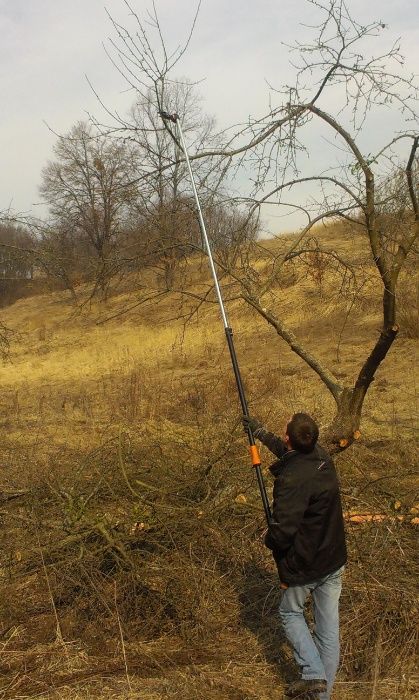 Розчищення ділянок Зрізання, обрізка, Видалення дерев Вирівнювання.