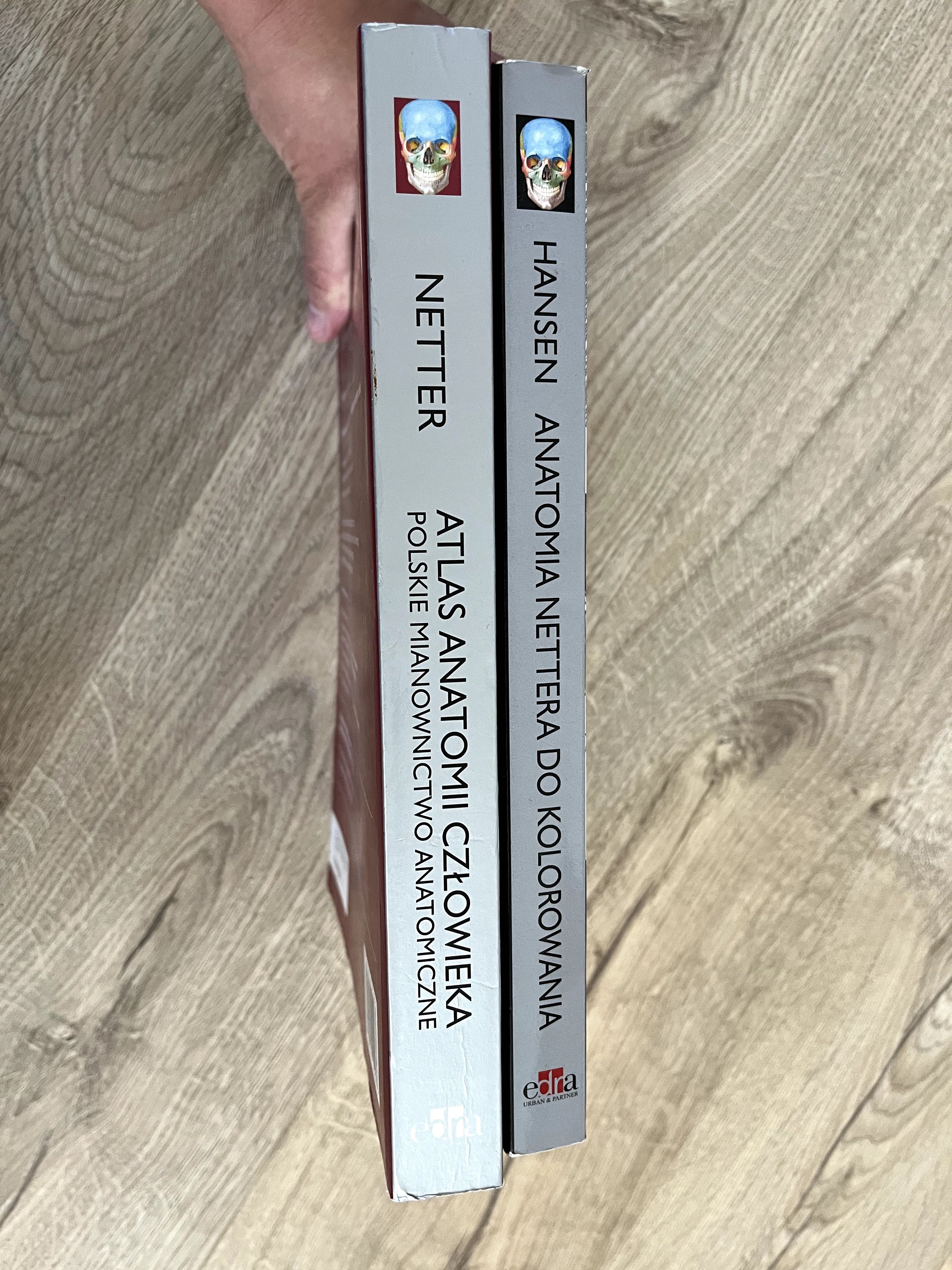 Zestaw Atlas Anatomii Człowieka, Anatomia do kolorowania Netter