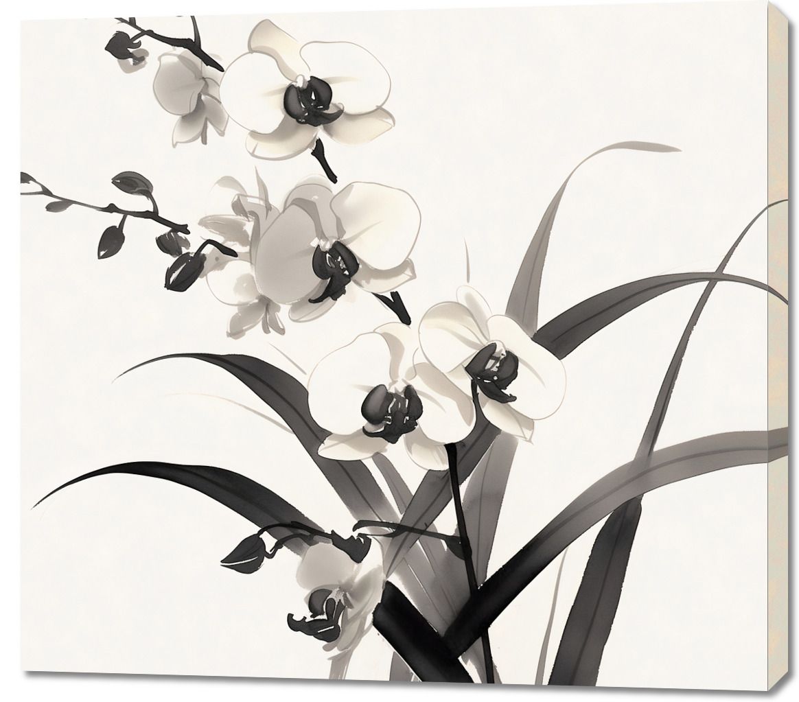 Obraz 100x90cm Orchidea
