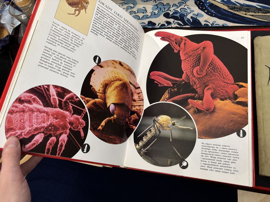 Ksiazki swiat pod mikroskopem anatomia toslin i inne