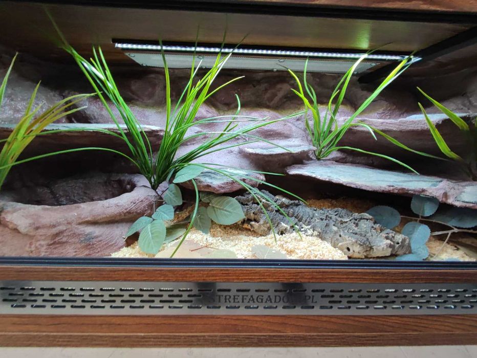 Terrarium tropikalne nr773 100/40/40 dla węża boa pyton DOSTĘPNE