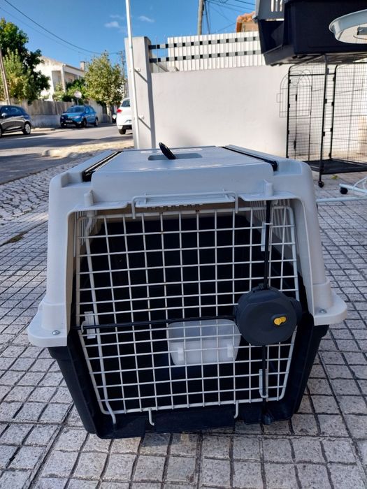 Transportadora cão