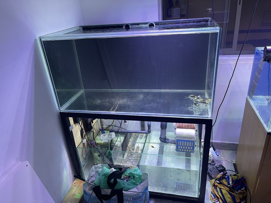 Vendo aquario com 4 meses de uso