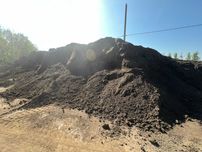 Ziemia OGRODOWA pod TRAWE humus trawa torf Transport czarnoziem