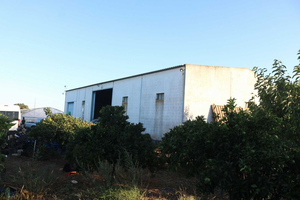 Terreno para Cultivo c/ Estufas