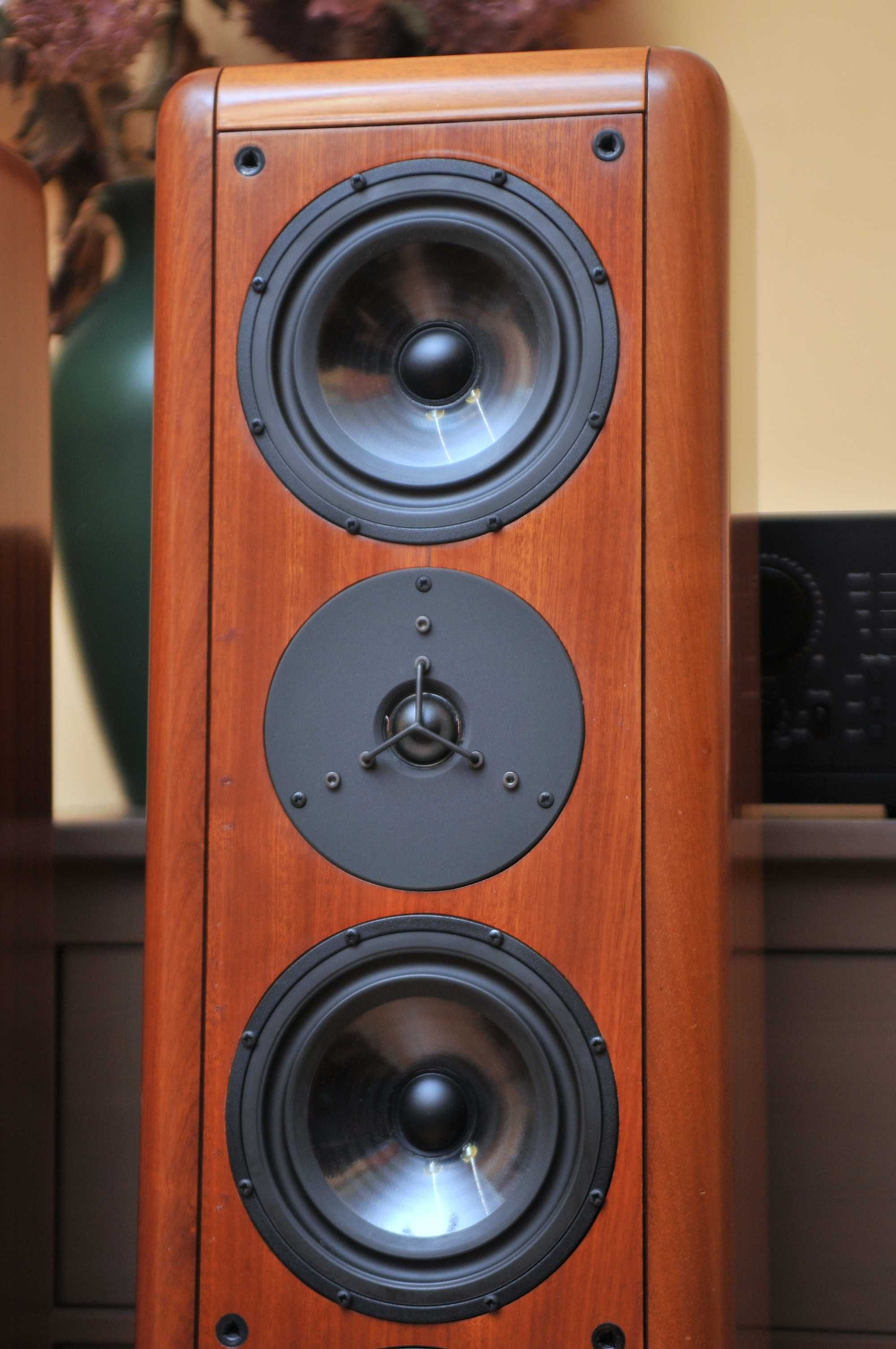 Kolumny podłogowe am audio