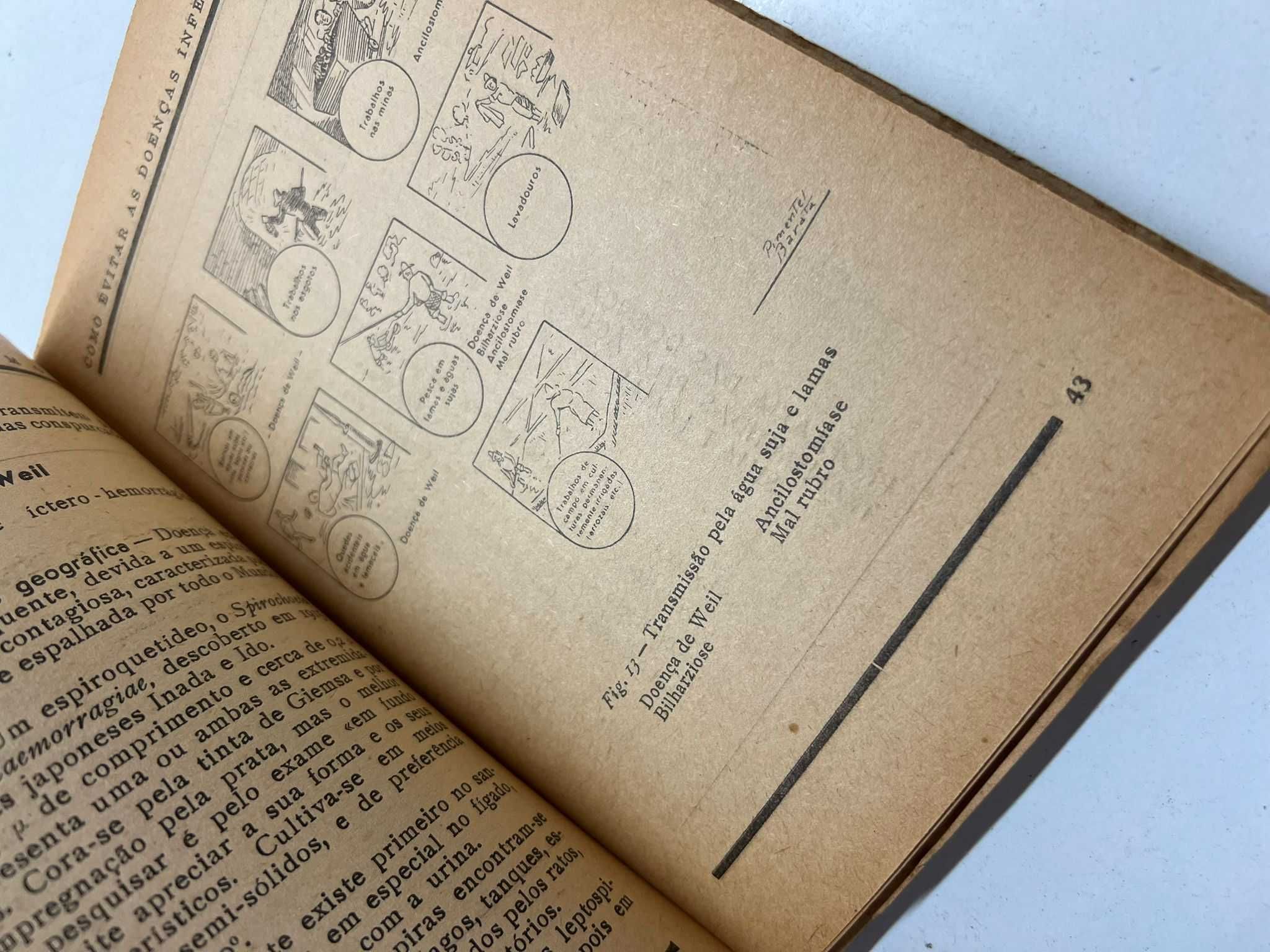 Livro - Como Evitar as Doenças Infecciosas (ctt editorial grátis)