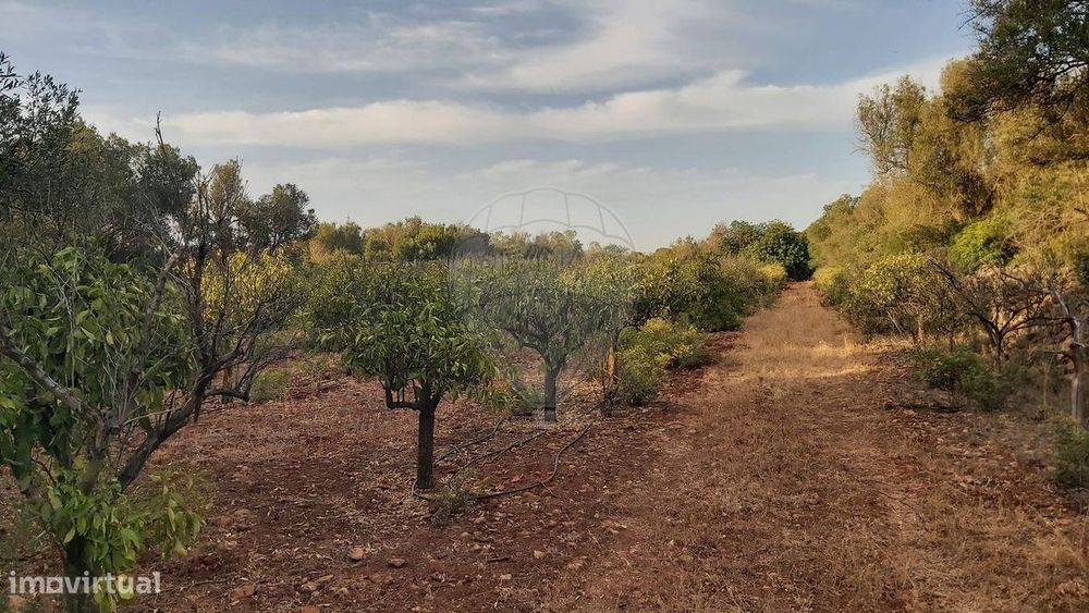 Terreno  para venda
