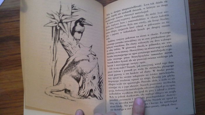 Zwierzęta z lasu dziewiczego - Arkady Fiedler