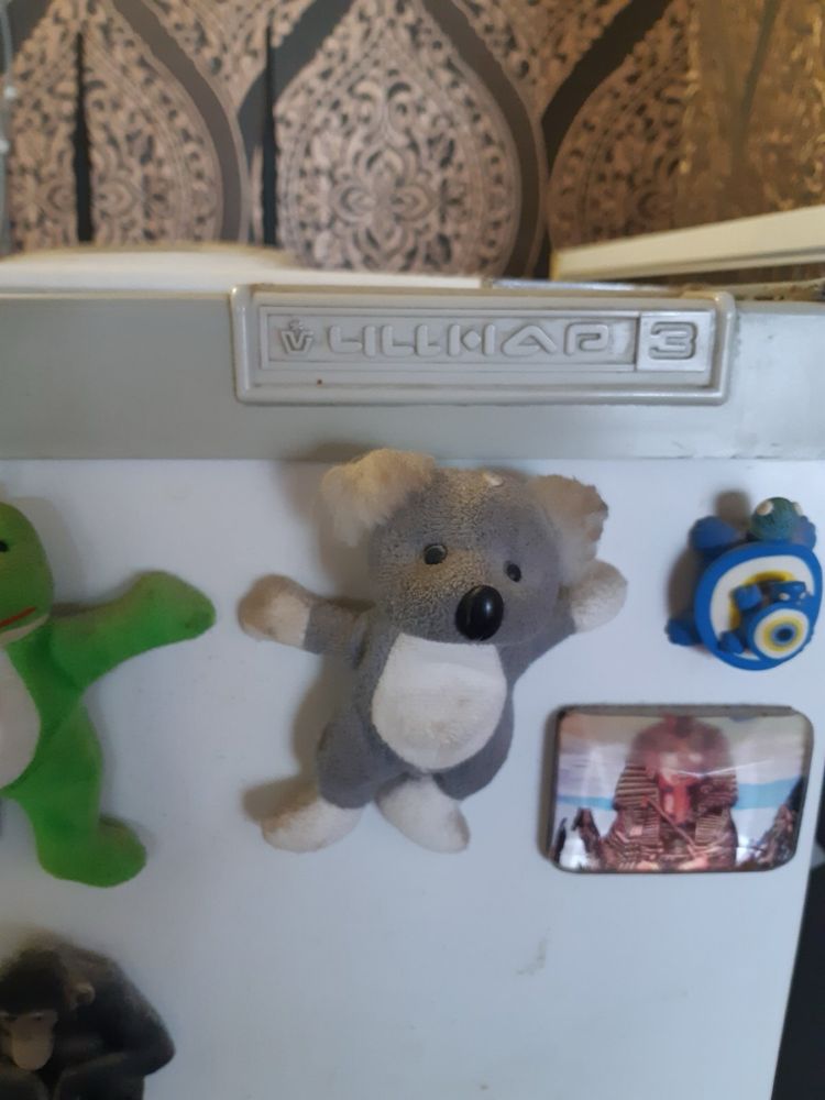 Справний холодильник Чінар 3