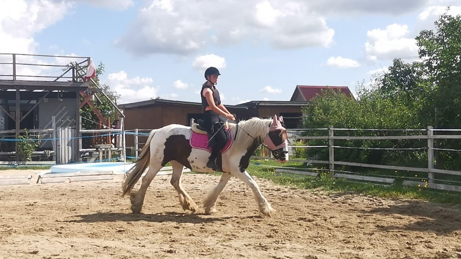 Wysoka, śliczna klacz Tinker/Irish Cob