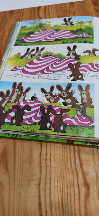 Jak krecik uzdrowił myszkę twarda okładka