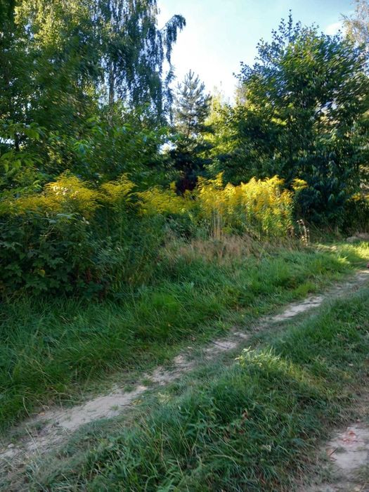 Sprzedam dzialke budowlana we Wrzacej kolo Lutomierska w woj.Lodzkim