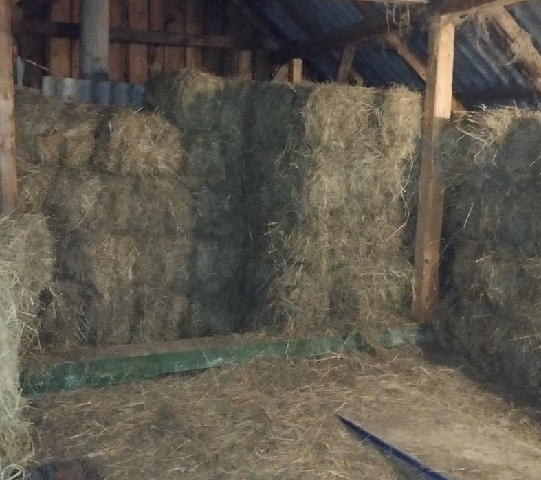 Продаж сіна в тюках