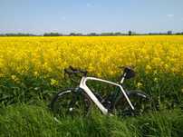 Rower szosowy Specialized s-works venge cavendish
