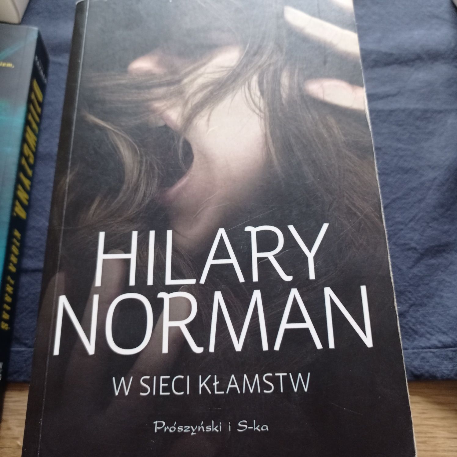 Hilary Norman W sieci kłamstw