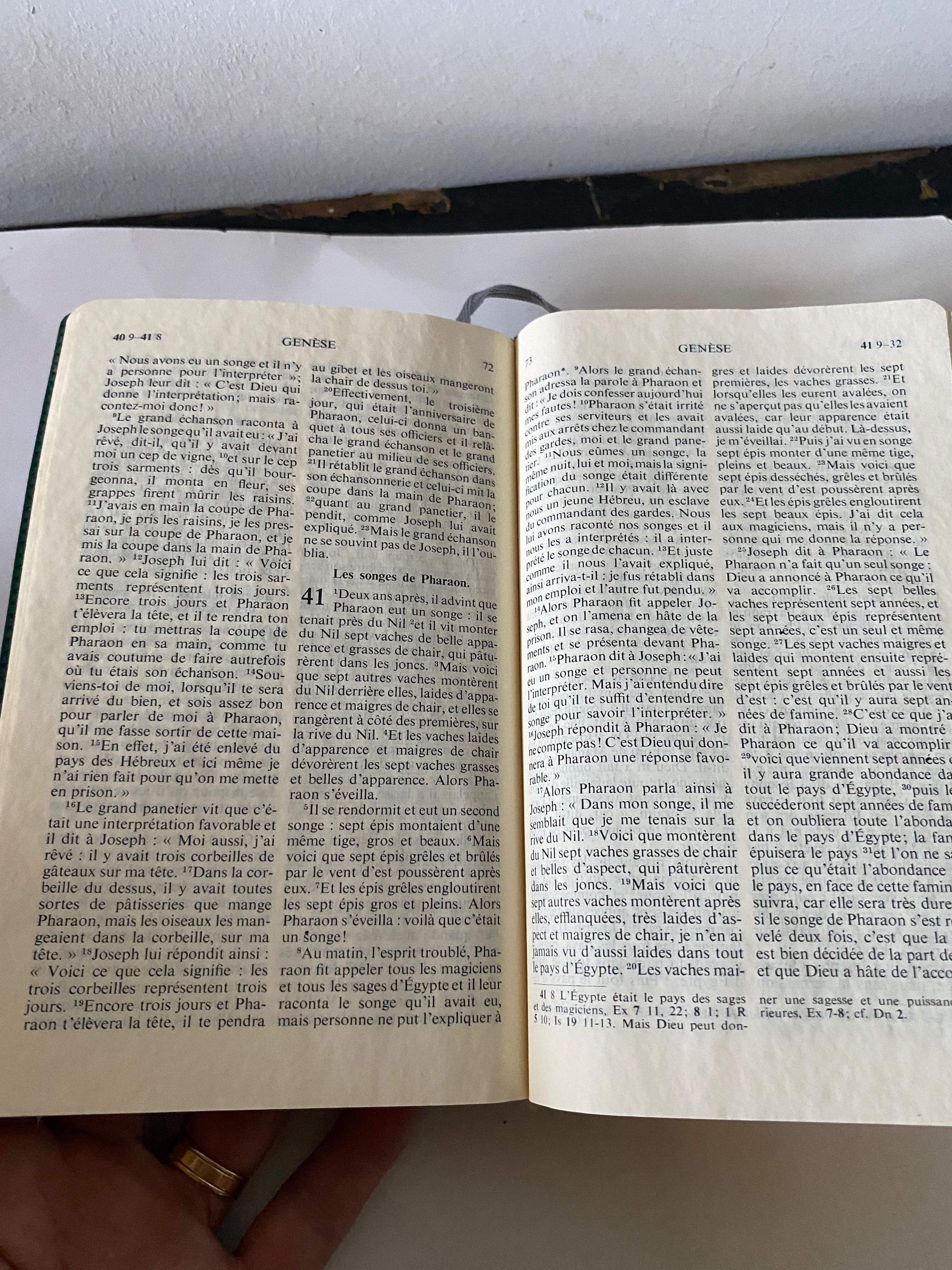 Bliblia de Jerusalém vintage