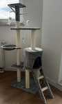 Drapak dla kota XXL 138 cm wysokości