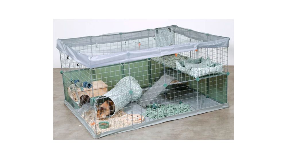 Parque para coelho anão ZO