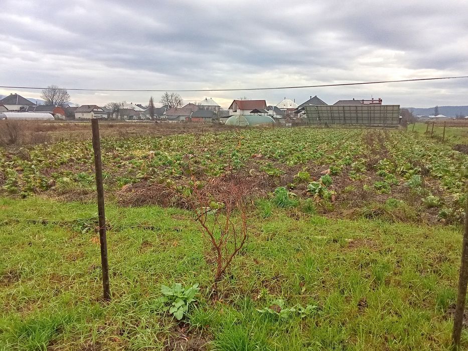 Продам 16 соток землі