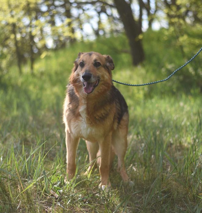 Sylwek czeka na wystrzałowego opiekuna