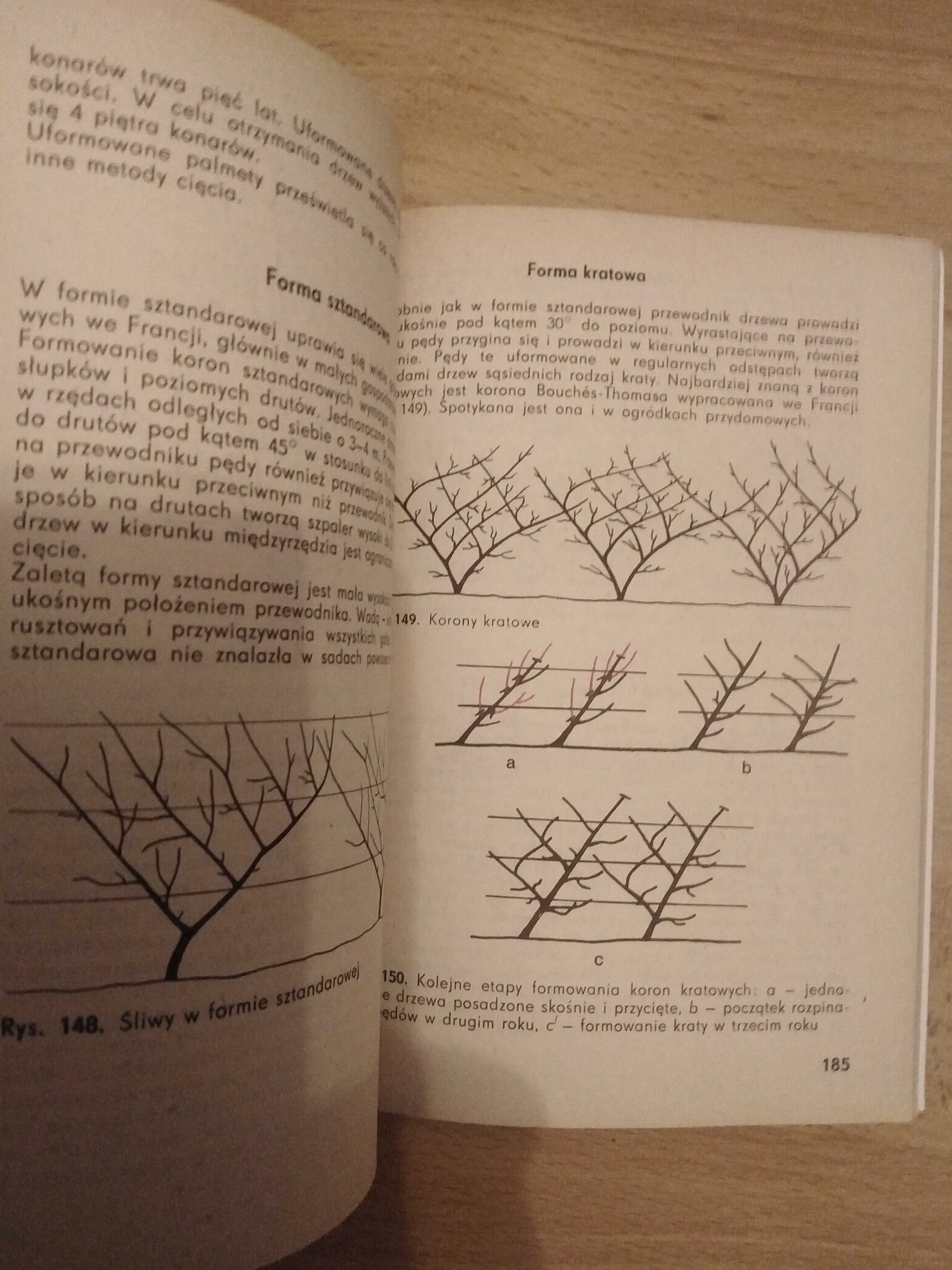 Cięcie drzew i krzewów owocowych 1984