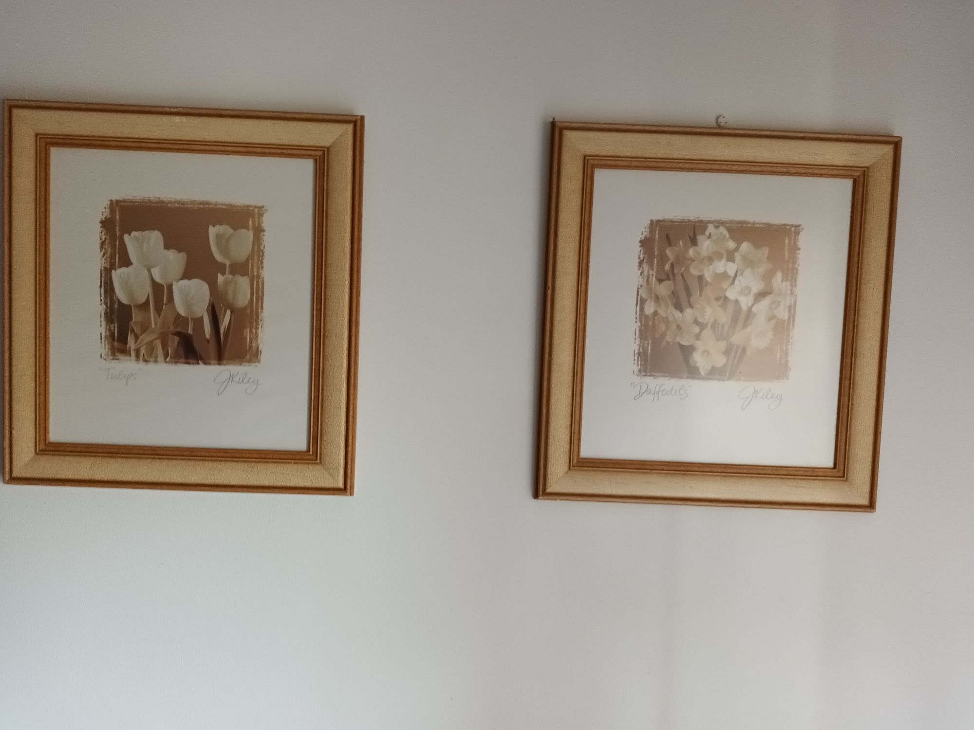 Quadros florais com moldura