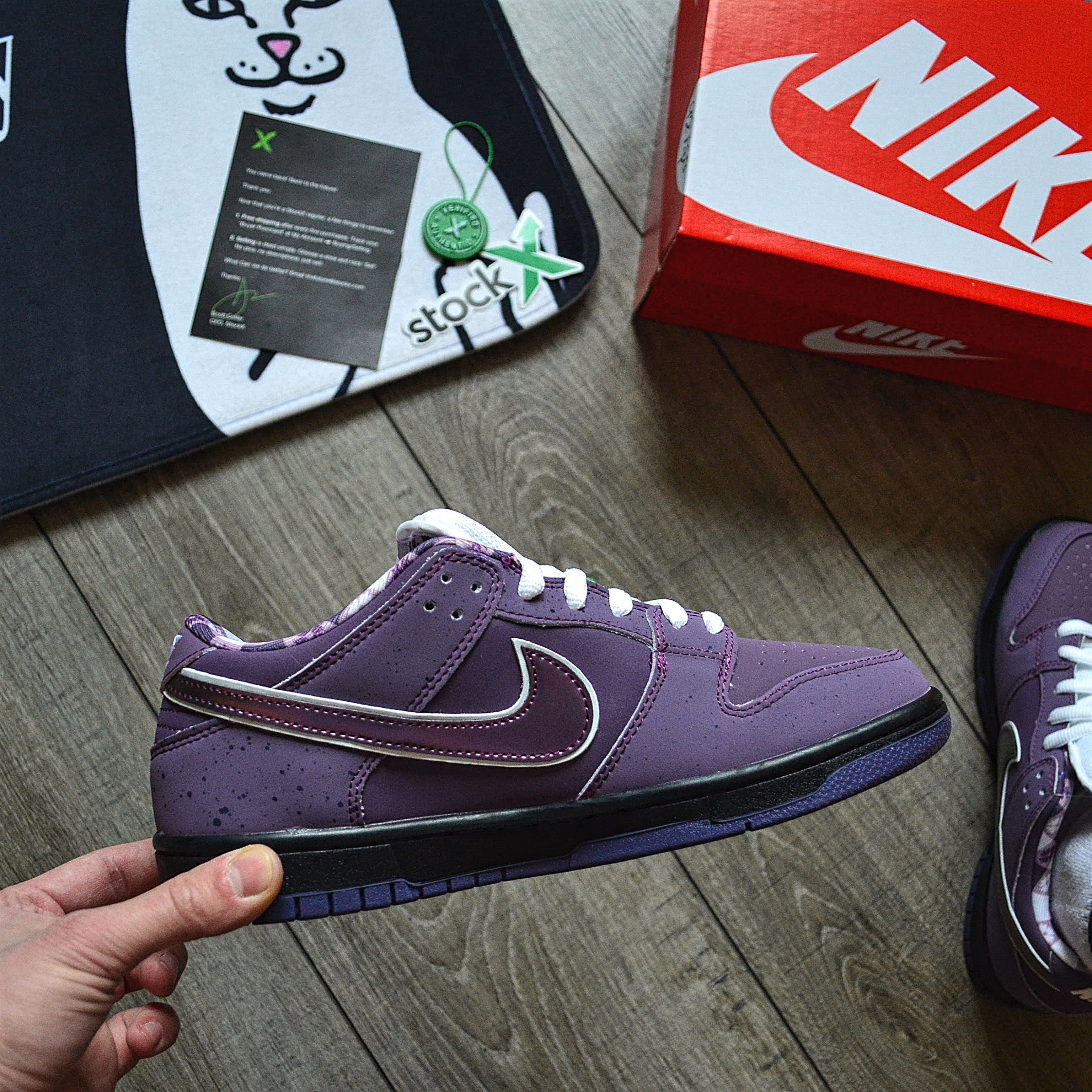 Мужские кроссовки Nike Concepts x Dunk Low Pro SB 'Purple Lobster'