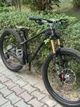 Trek Roscoe 7 Custom 2024 (M 29’)