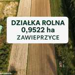 Działka rolna 0,95 ha - Zawieprzyce, gm. Spiczyn