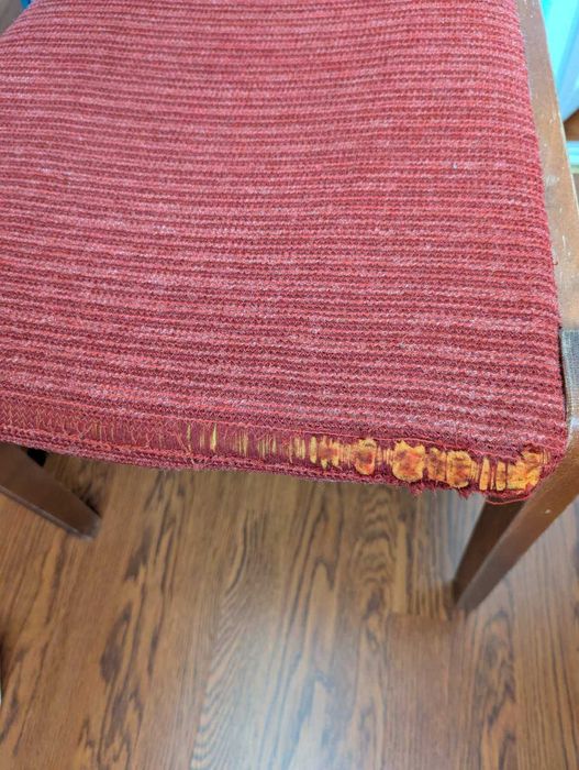 Стільці кімнатні 2 шт.