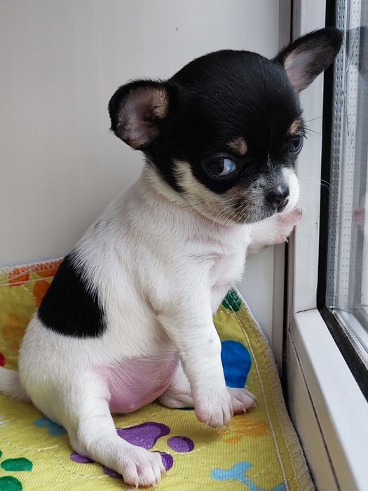 Кукляшная девочка